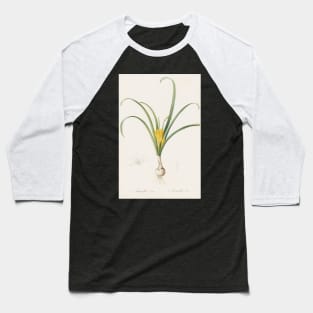 Amaryllis Lutea by Pierre-Joseph Redoute Baseball T-Shirt